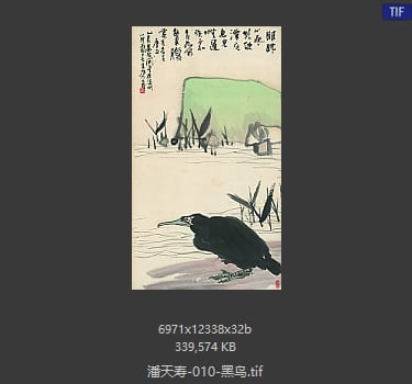 潘天寿 黑鸟