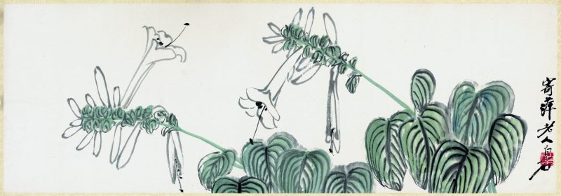 齐白石 玉簪花