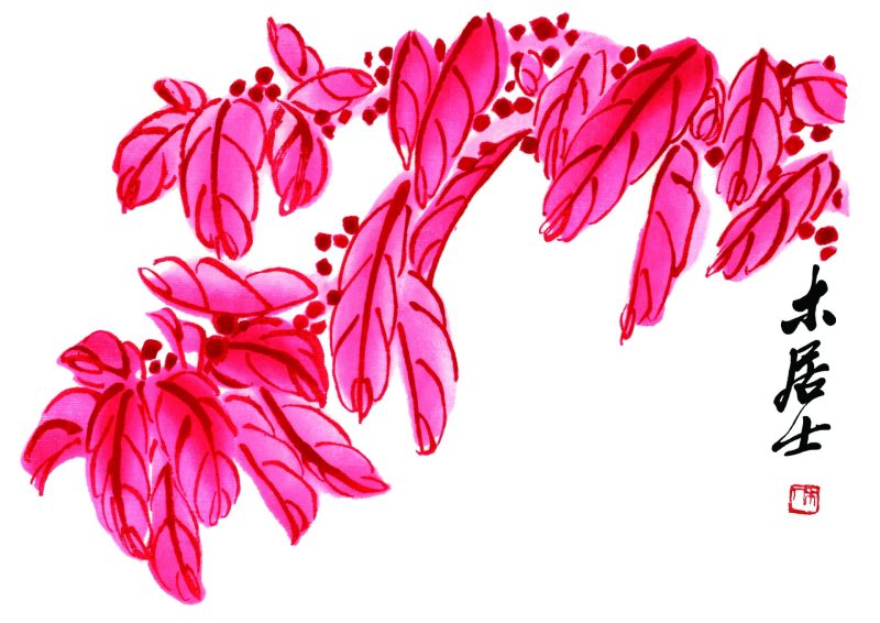 齐白石 花卉