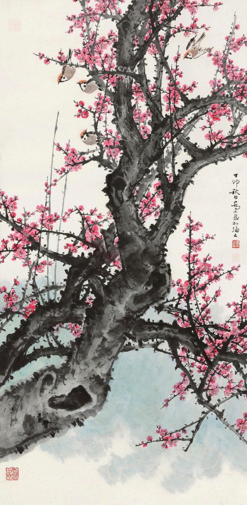 乔木 #027