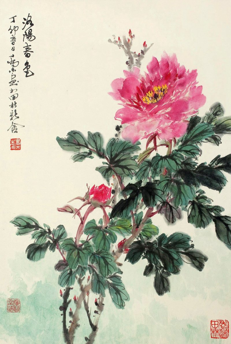 乔木 #039