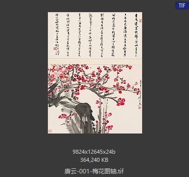 唐云 梅花