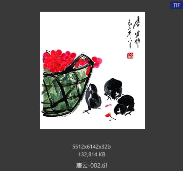 唐云 #002