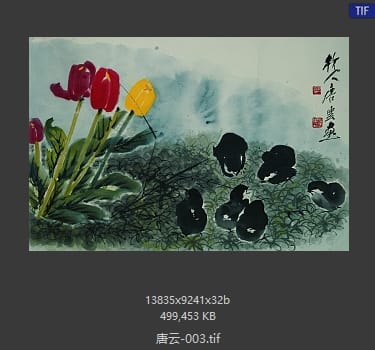 唐云 #003