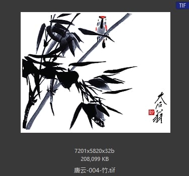 唐云 竹