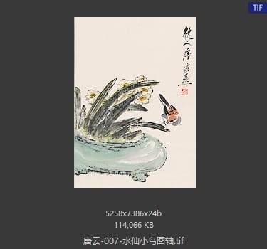 唐云 水仙小鸟