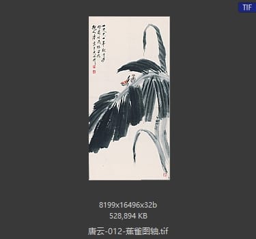 唐云 蕉雀图