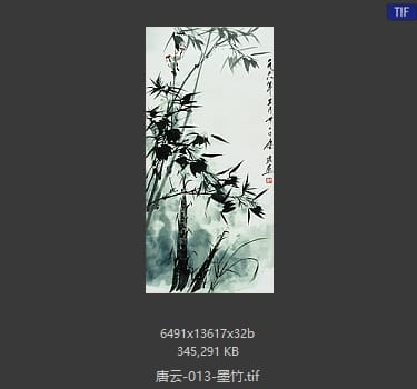 唐云 墨竹