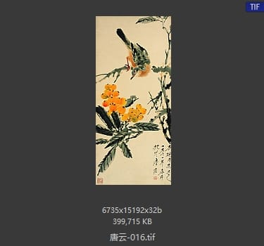唐云 #016