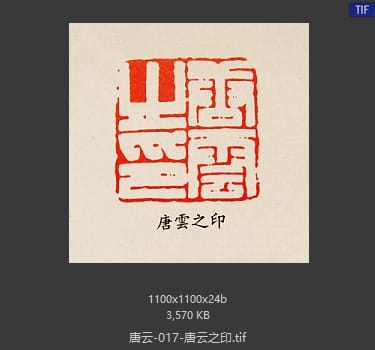 唐云 唐云之印