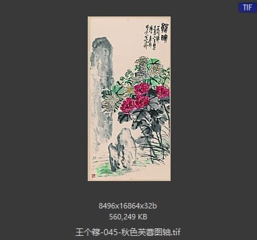 王个簃 秋色芙蓉图轴