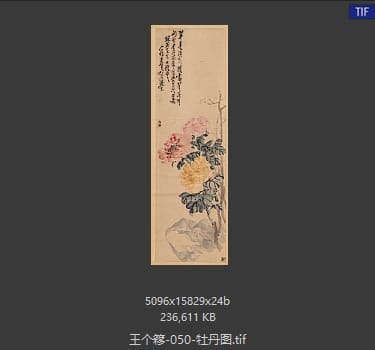 王个簃 牡丹图