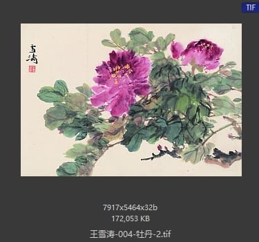 王雪涛 牡丹