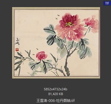 王雪涛 牡丹图轴