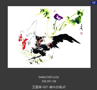 王雪涛 牵牛白鸡