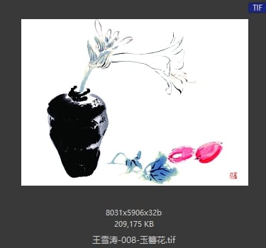王雪涛 玉簪花