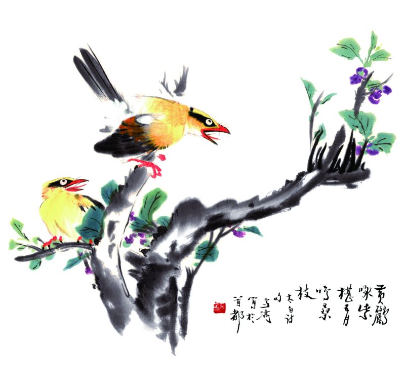 王雪涛 紫椹黄鹂