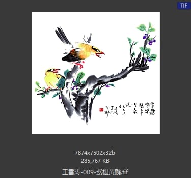 王雪涛 紫椹黄鹂