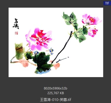 王雪涛 芙蓉