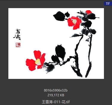 王雪涛 花
