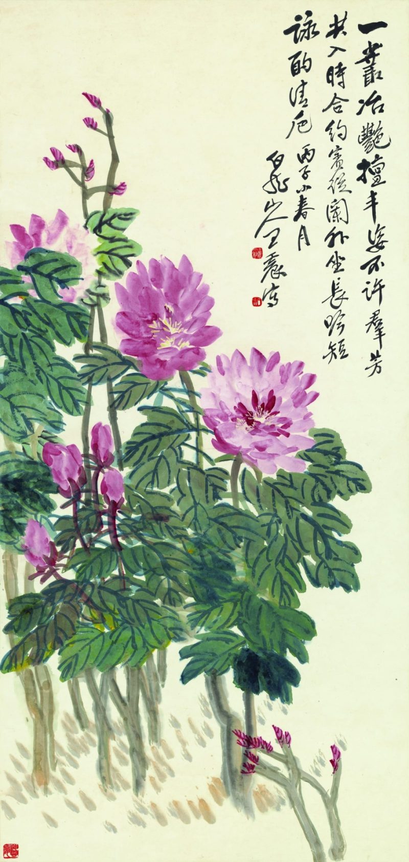 王震 牡丹