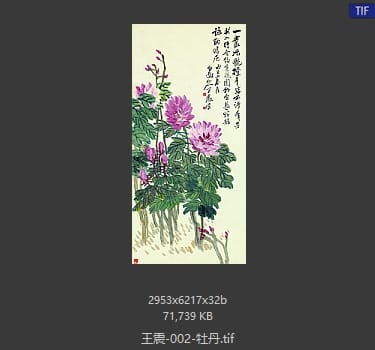 王震 牡丹