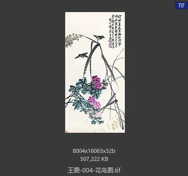 王震 花鸟图