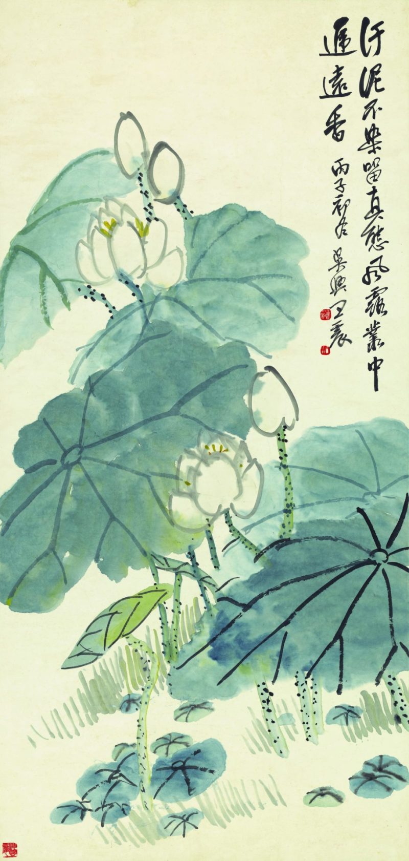 王震 荷花