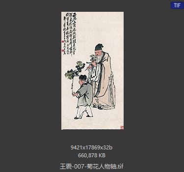 王震 菊花人物轴