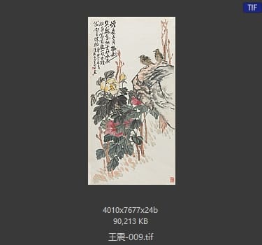 王震 #009