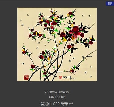 吴冠中 野果
