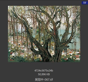 吴冠中 #067