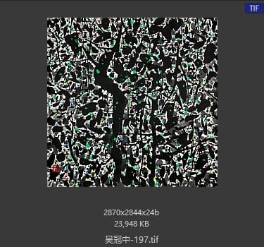 吴冠中 #197