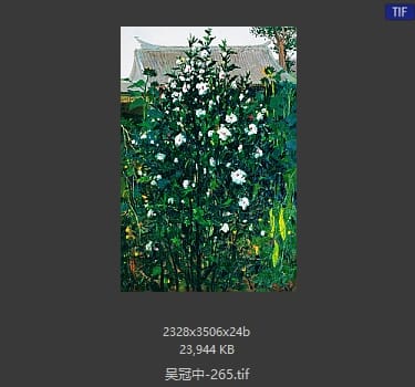 吴冠中 #265