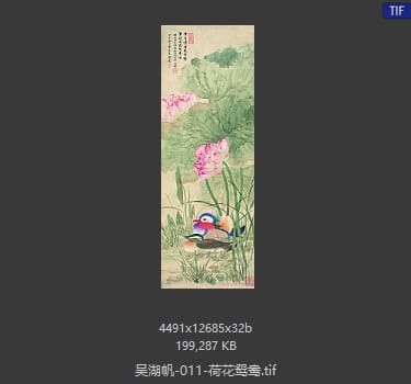 吴湖帆 荷花鸳鸯