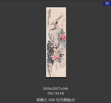 吴茀之 牡丹