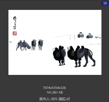 吴作人 骆驼