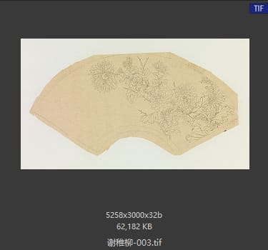 谢稚柳 #003