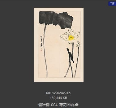 谢稚柳 荷花图轴