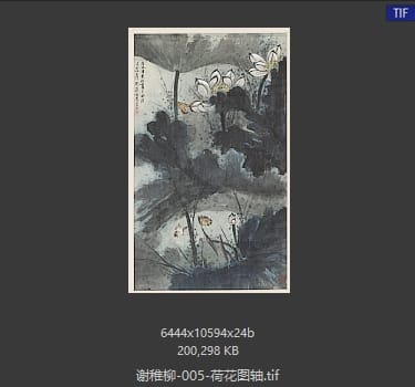 谢稚柳 荷花图轴