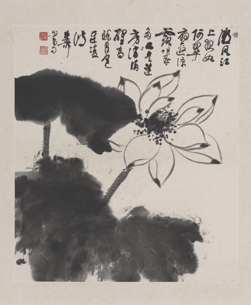谢稚柳 花卉册页03