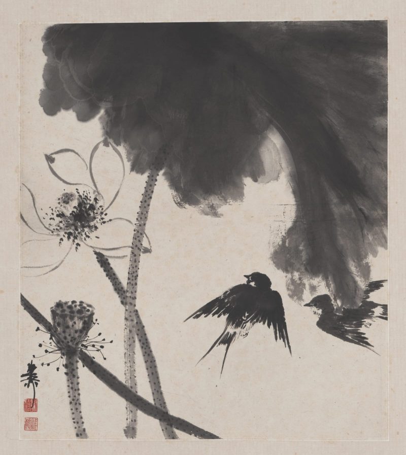 谢稚柳 花卉册页04