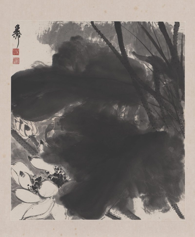 谢稚柳 花卉册页05