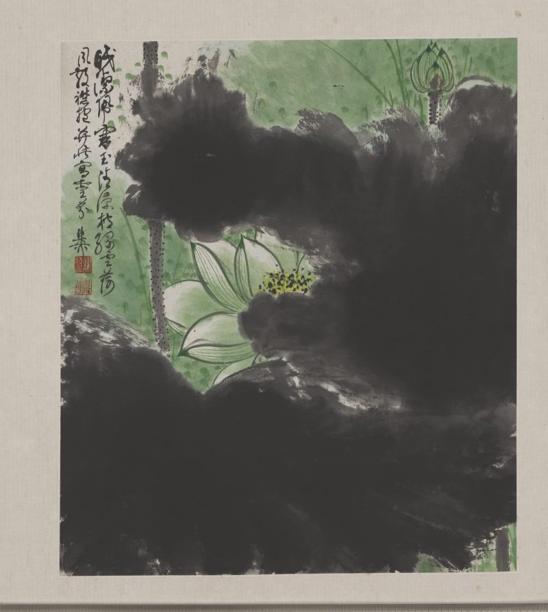 谢稚柳 花卉册页08
