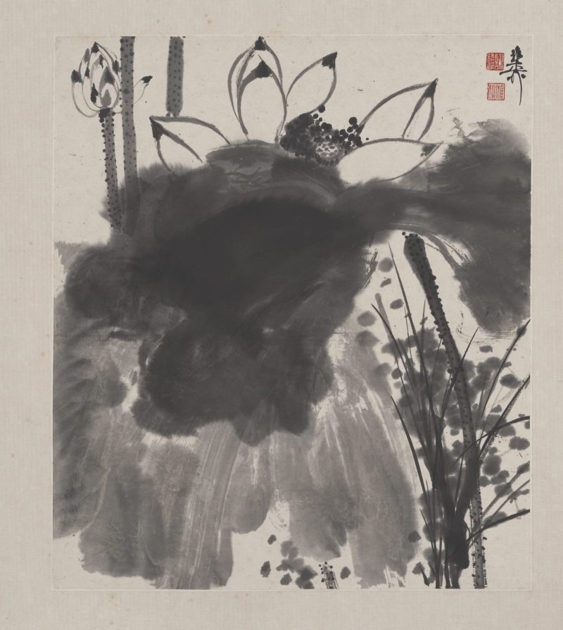谢稚柳 花卉册页10