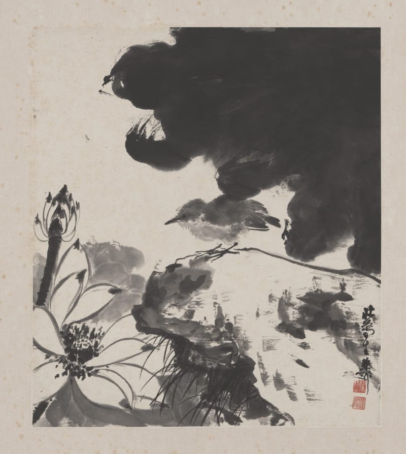 谢稚柳 花卉册页11
