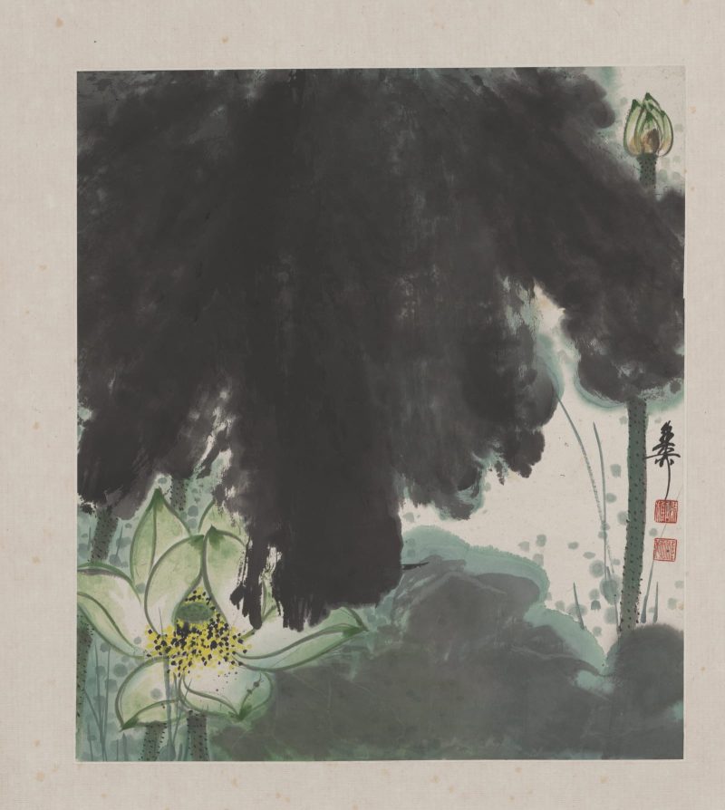 谢稚柳 花卉册页12