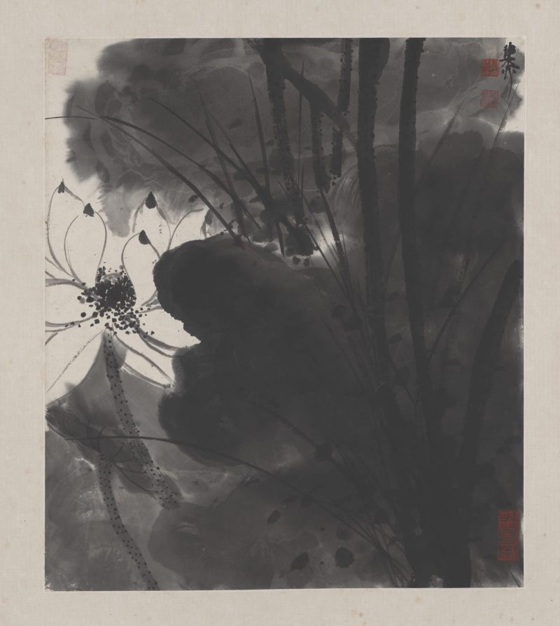 谢稚柳 花卉册页13