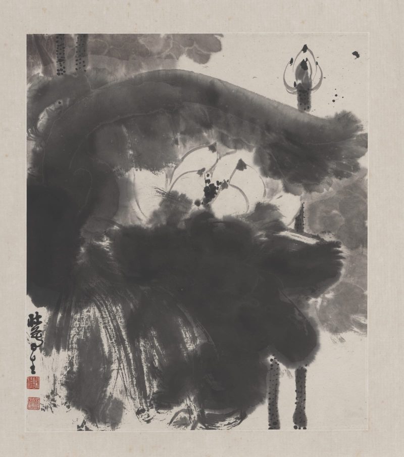 谢稚柳 花卉册页14