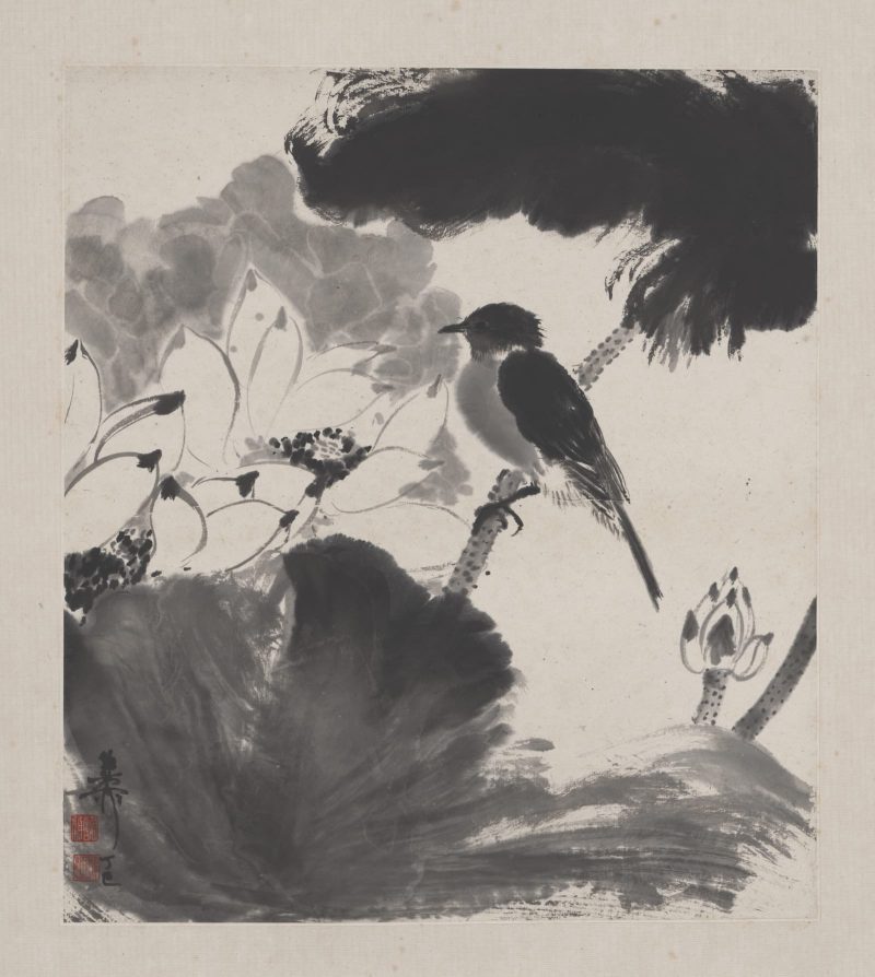 谢稚柳 花卉册页15
